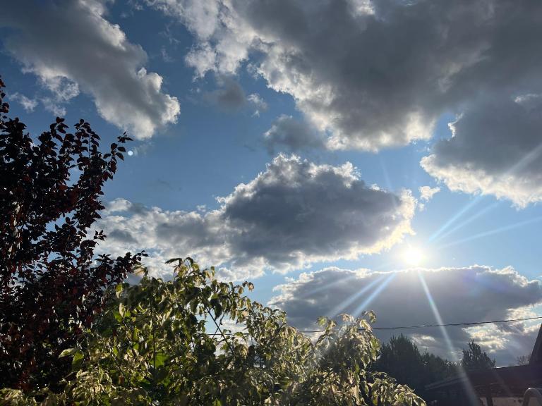 Przytulny Domek - B&B Rokitnica