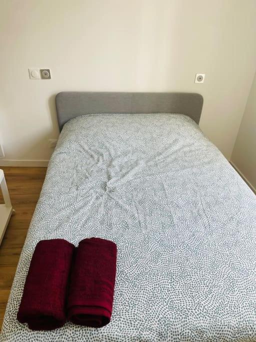 STADE DE FRANCE Superbe Appartement Proche Paris - Bed and Breakfast Saint-Denis