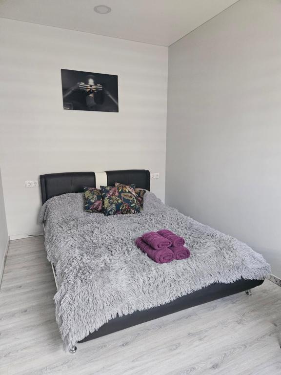Kaunas Pramogų kambarys - B&B Kaunas
