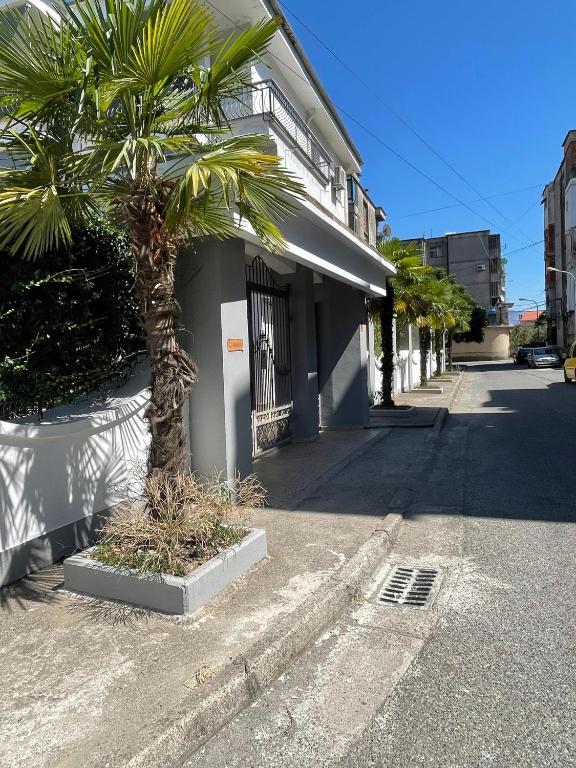 Las Palmas Guesthouse - Ferienwohnung Shkodra