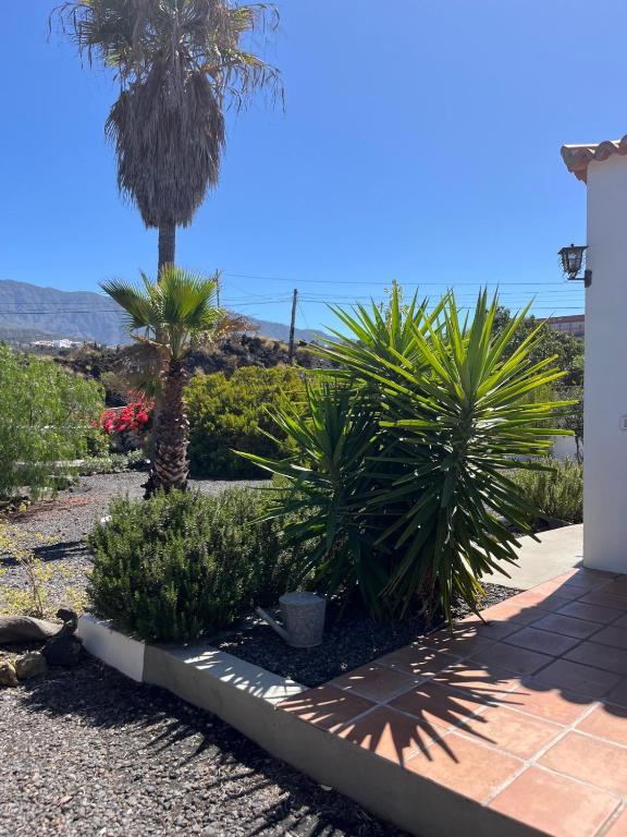 Cráter 1 - Bed and Breakfast El Paso