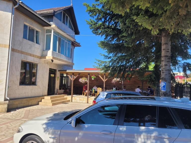 Pensiunea Trei Brazi - Chambres d'hôtes Târgu Ocna