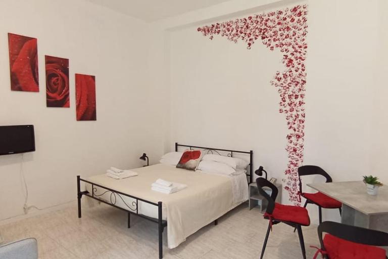 Il roseto di Cremona, luminoso monolocale indipendente - B&B Cremona