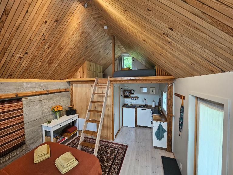 Sigurd's Tiny House - B&B Reino de Voss