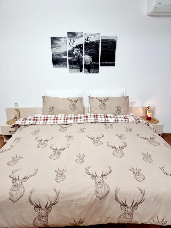 Studio Vihren 11,Bansko - Ferienwohnung Bansko