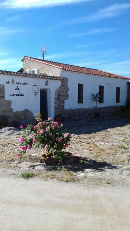 El Cercón de Candelo - Chambres d'hôtes Magacela