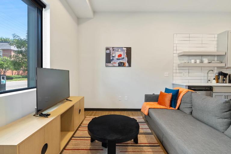 CozySuites Mass with lounge and roof deck #1 - B&B Indianapolis