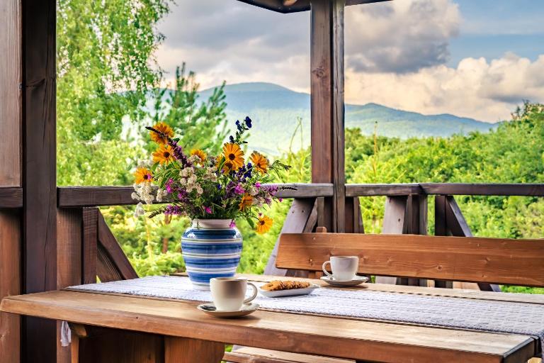 Bieszczadzki Domek z widokiem na połoniny - B&B Wetlina