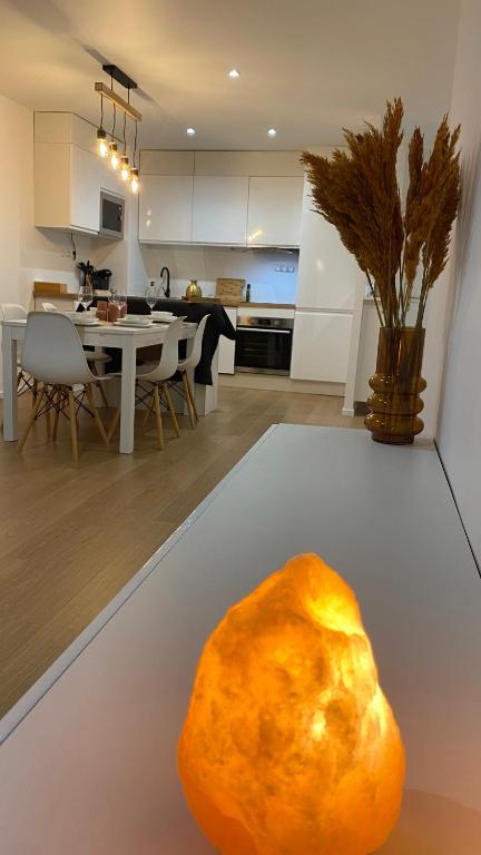 Nice and cosy flat near Geneva or Annecy - B&B Bellegarde-sur-Valserine