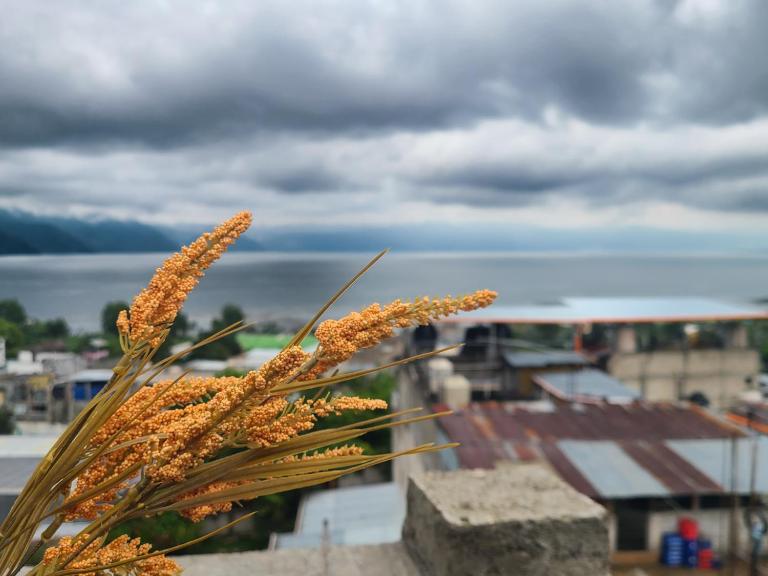 Casa Raxic - B&B San Pedro La Laguna