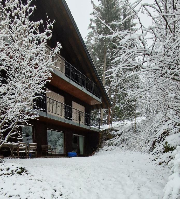 Ferienwohnung in Schönwald Schwarzwald - B&B Schönwald