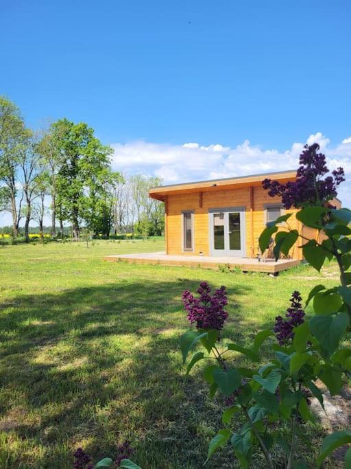 Cottage in Nature, free sauna, free breakfast - B&B Lielkangari