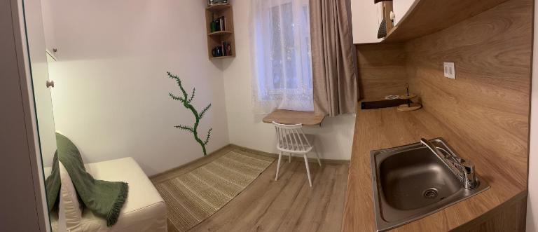 Mimosa Studio - Ferienwohnung Klausenburg