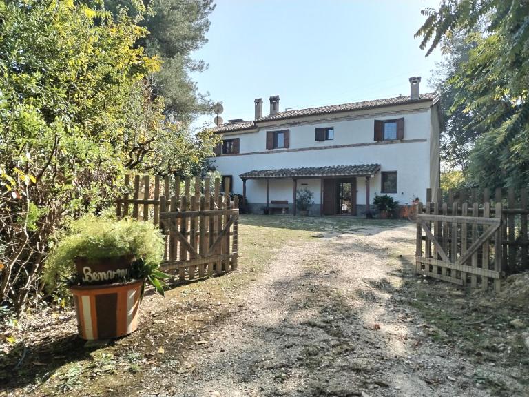 Boschetto sul mare - B&B Cupra Marittima