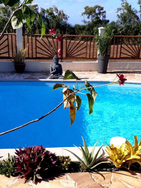 Joli studio rez de jardin, piscine, jacuzzi - Bed and Breakfast Sainte-Suzanne
