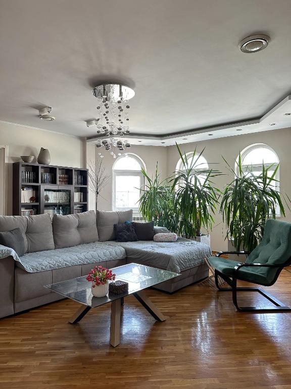 Lovely Apartments Free STREET Parking - Bed and Breakfast Novi Sad