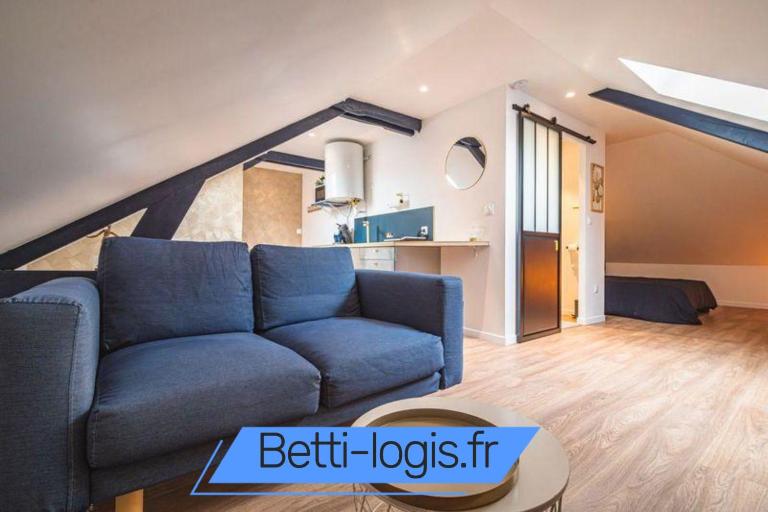 L'Azur doré, studio pour 2 voyageurs - Ferienwohnung Isles-sur-Suippe