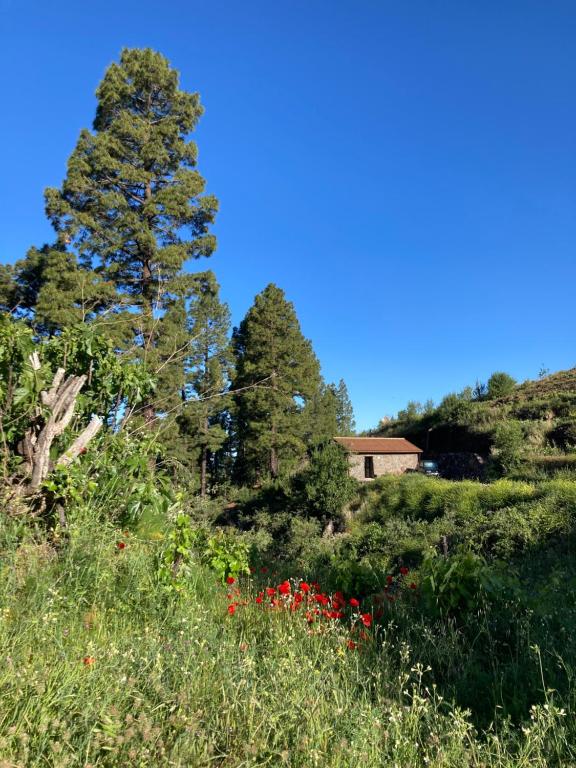 Bodega Linda - B&B Puntagorda