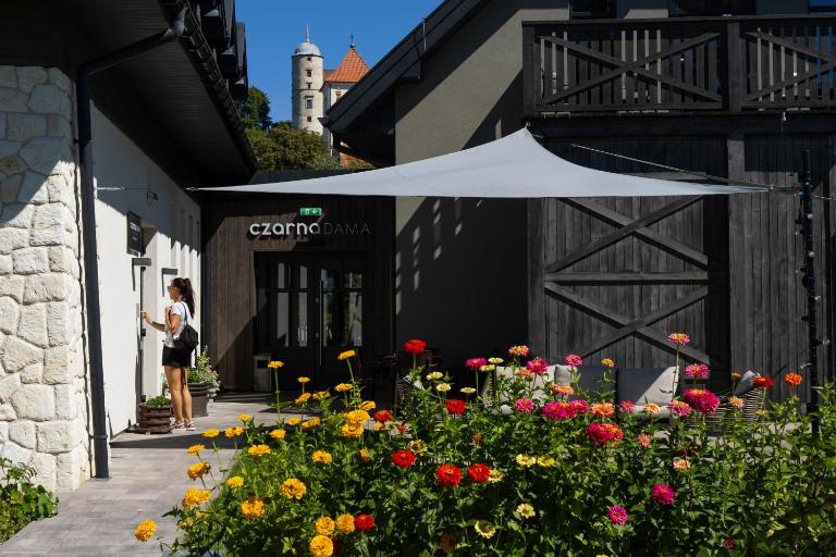 Czarna Dama Apartamenty - B&B Janowiec