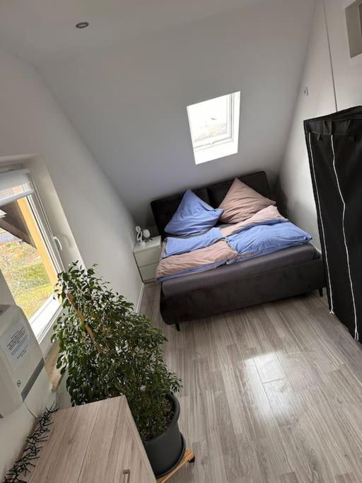 Panoramablick in Litzendorf - Ferienwohnung Litzendorf