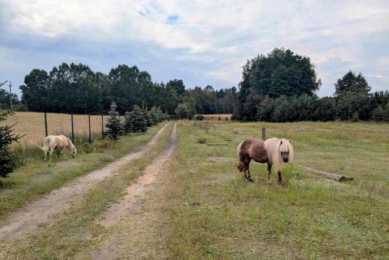 Hacienda Natura Agroturystyka - Chambres d'hôtes Warlubie