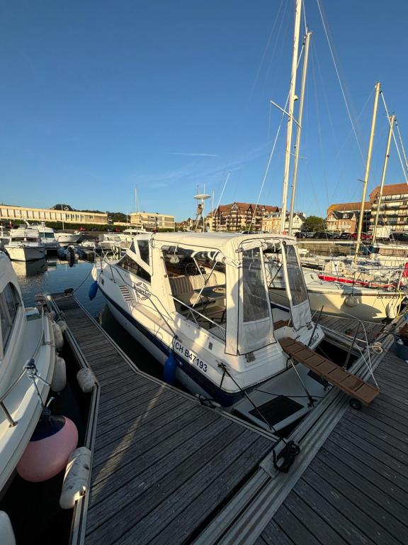 Le duplex des Marinas, dog friendly & parking inclus, 1m90 sous plafond - B&B Deauville