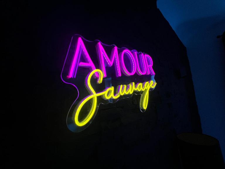 Amour Sauvage-Love Room****, Centre-Historique - B&B Avignone