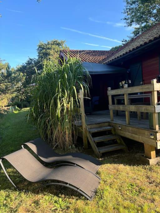 Chalet proche du lac - B&B Sanguinet