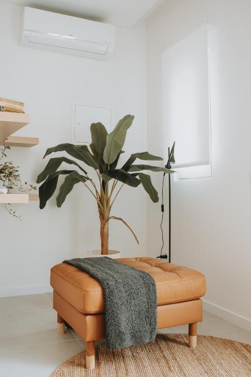 La Paloma Alojamentos - Ferienwohnung Peniche de Cima