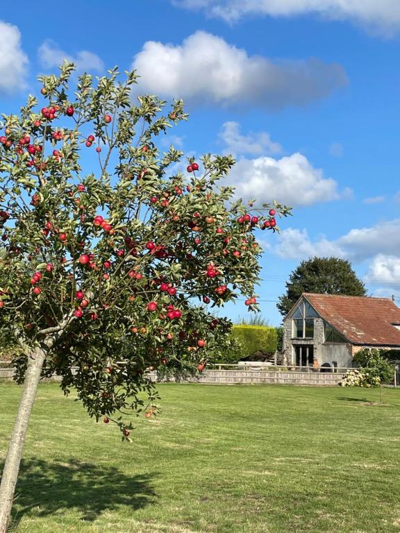 The Hayloft at Stathe Farm - B&B Bridgwater