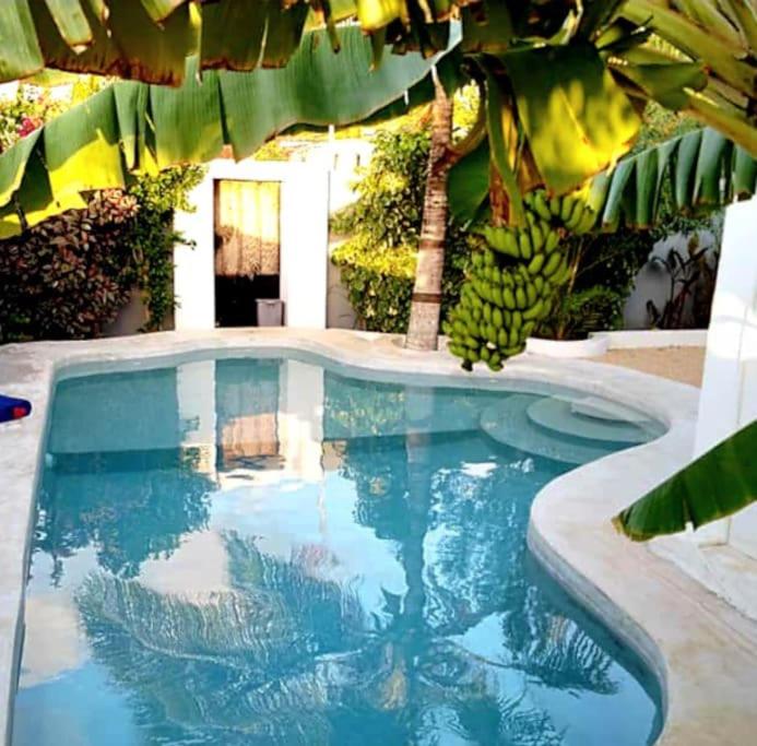 Kikadini Villa with private pool - B&B Jambiani