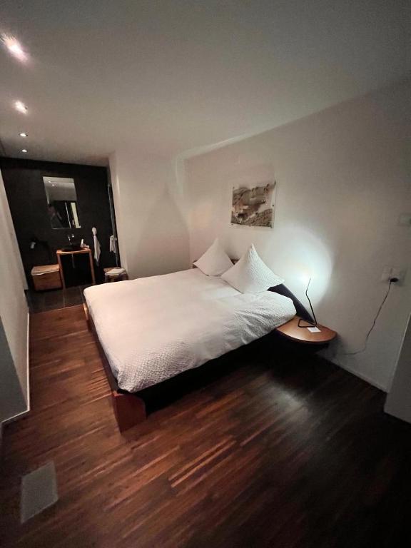 Deluxe Zimmer in Privatwohnung an zentraler Lage - Ferienwohnung Teufen AR