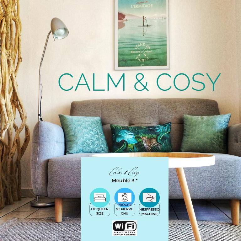 Calm & Cosy, magnifique T1 proche CHU - B&B Saint-Pierre