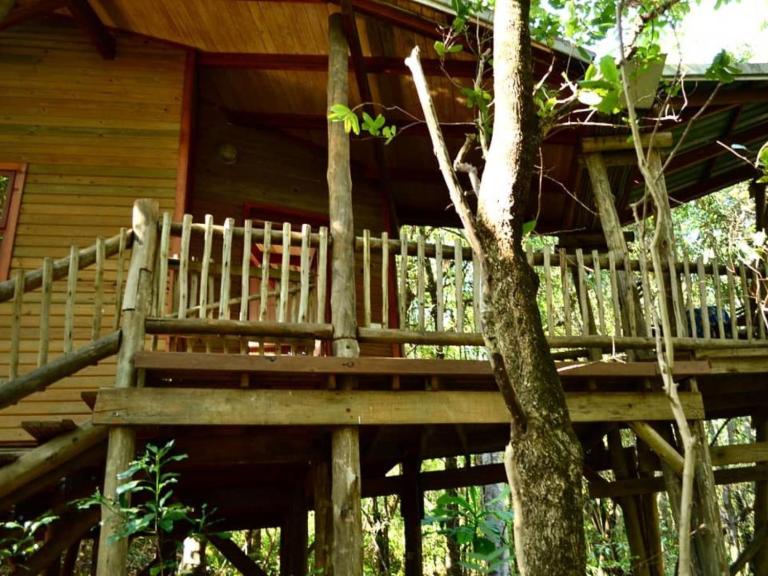 Waterbessiebos cottage - B&B Tzaneen