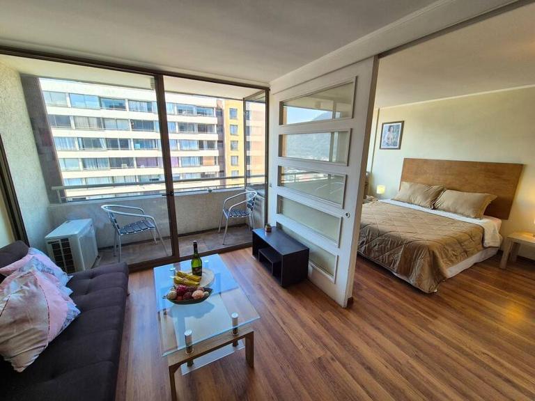 Apartamento Del Río - Chambres d'hôtes Santiago