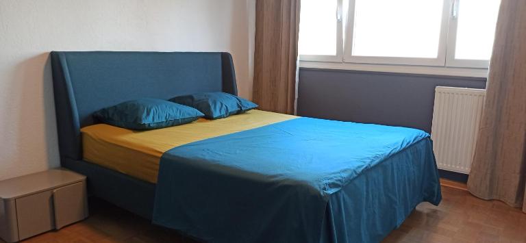 Apartement 2 rooms Saint Louis - Euroairport - Basel - Train station - B&B Saint-Louis
