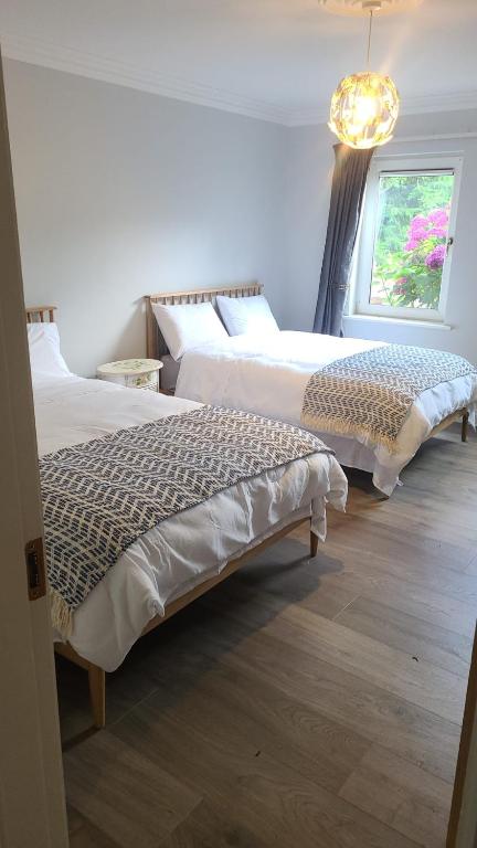 Large En-suite room - B&B Killarney