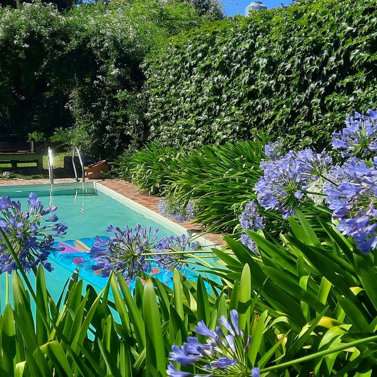 La Casa Verde Tandil - Ferienwohnung Tandil