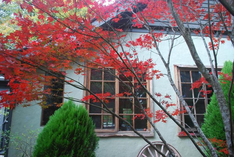 Magnolia Gardens - 2 Perrins Creek Rd Olinda - Chambres d'hôtes Elland