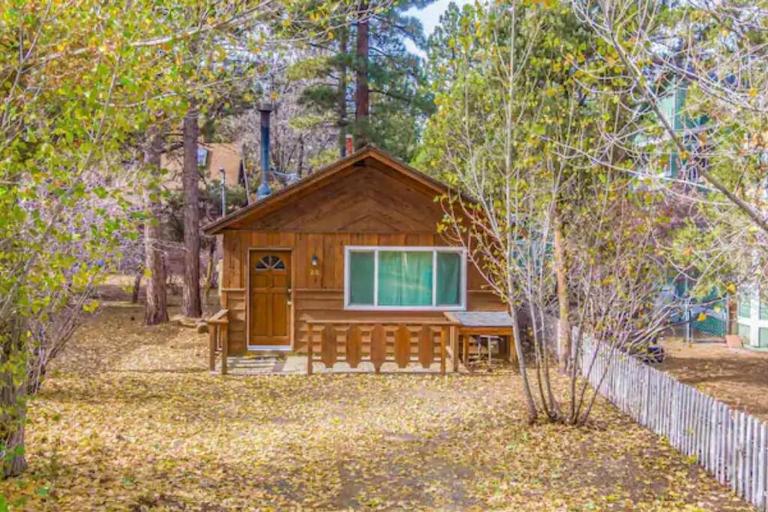 Bear Forest Hideaway, 5 Bed's, Indoor Fireplace! - Chambres d'hôtes Sugarloaf