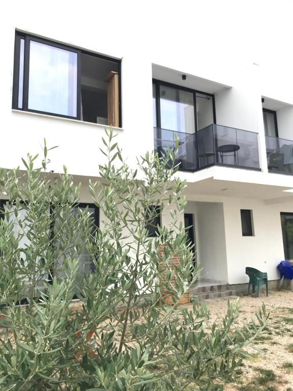 Rine Apartments - B&B Dulcigno