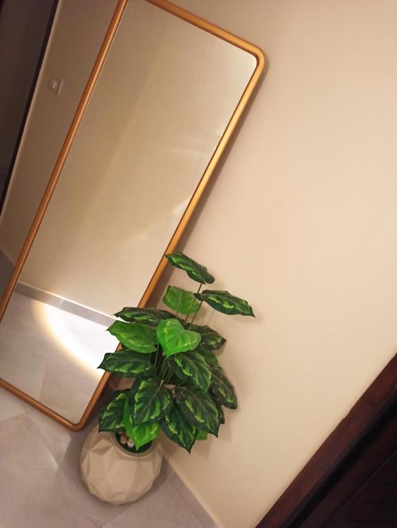 Kindly be informed that the building has strict security policy, registered guests only allowed and visits not allowed and marriage certificate is required, unique studio by the sea, between Hilton and four seasons in the heart of Alexandria, no view - B&B Alejandría