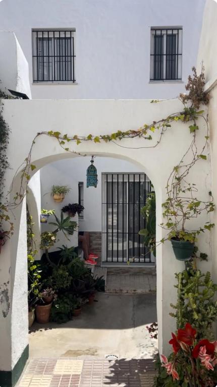 Casa Independiente Dos Plantas - B&B Conil de la Frontera