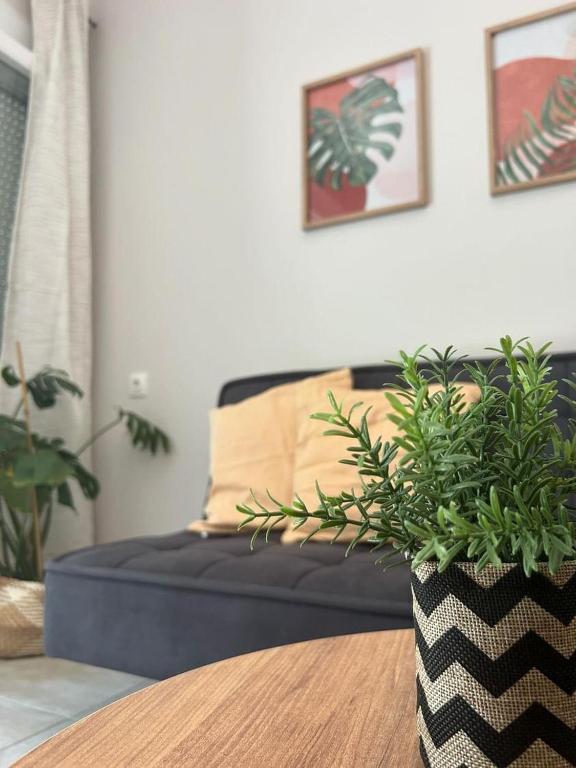 G&S cosy home - Chambres d'hôtes Volos