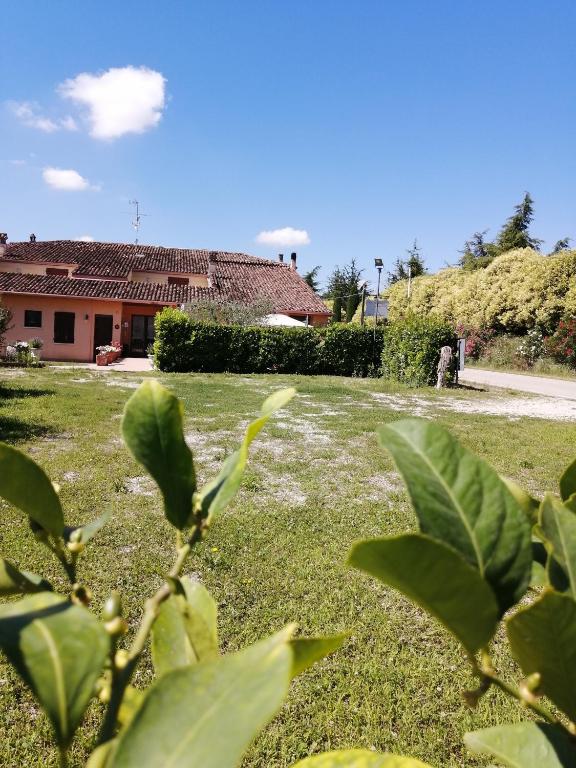 Agriturismo Nuvolino - Chambres d'hôtes Monzambano