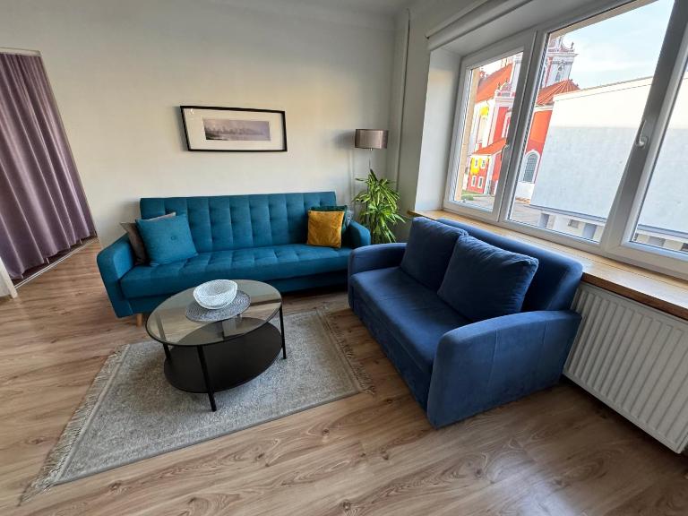 Spacious apartment in Old Town Vilnius street - B&B Vilna