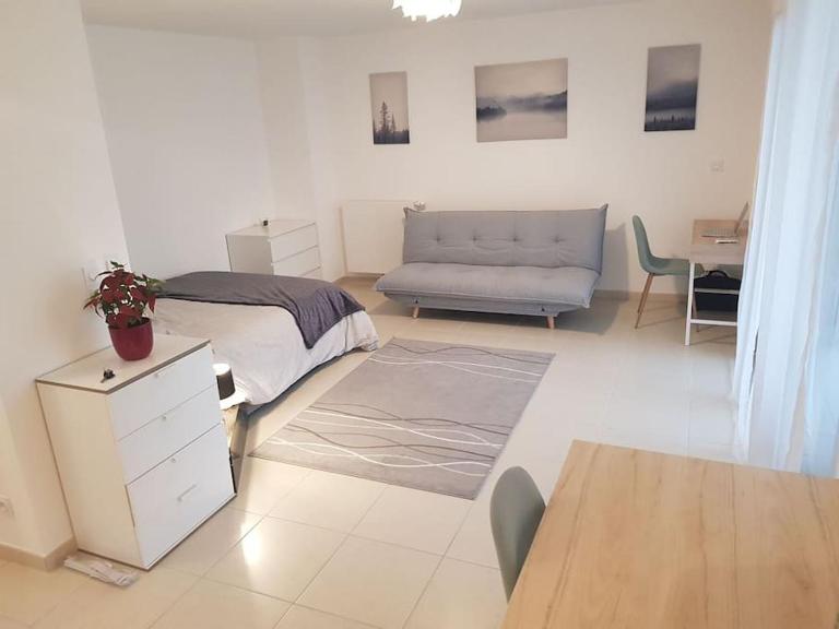 Cosy new Studio close to airport, UN, palexpo ! - B&B Ferney-Voltaire