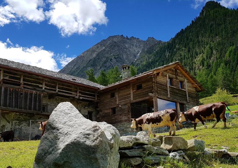 Incantevole appartamento in Rascard VDA AYAS 0139 - Chambres d'hôtes Champoluc-Champlan