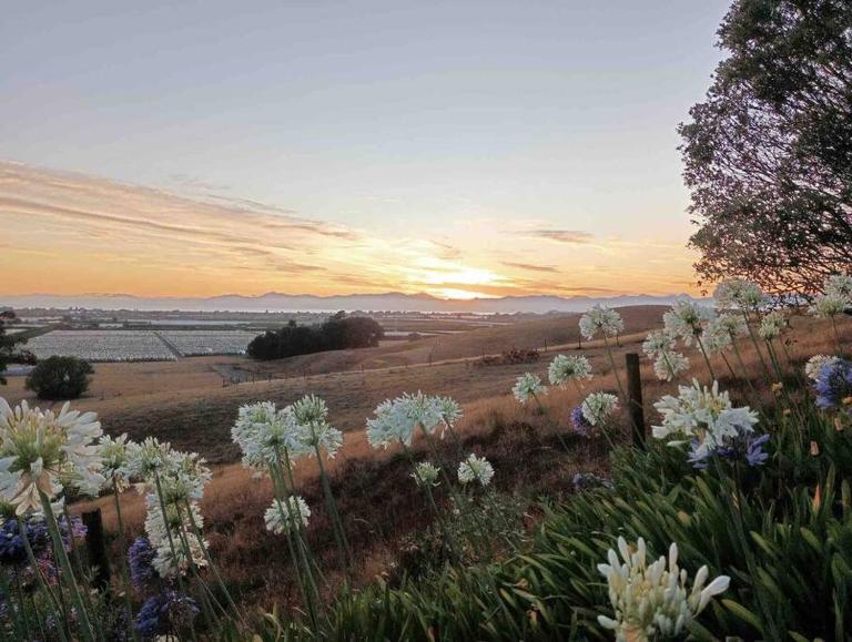 The Palms - Bed and Breakfast Motueka