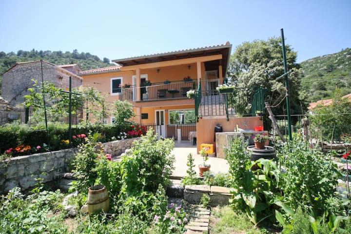 Baldo's Happy Garden- BRAND NEW - Ferienwohnung Korita